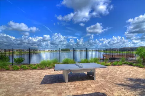 Other - 1621 Leaf Flower Ln, Lutz, FL 33558 photo 11 of 11