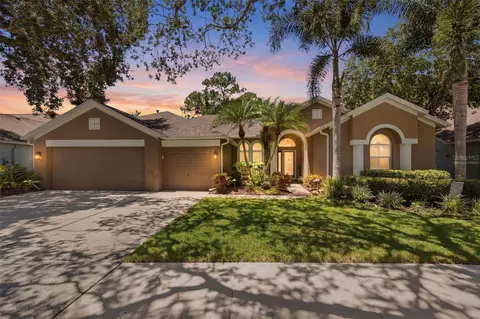 10212 Newington Pl, Tampa, FL 33626
