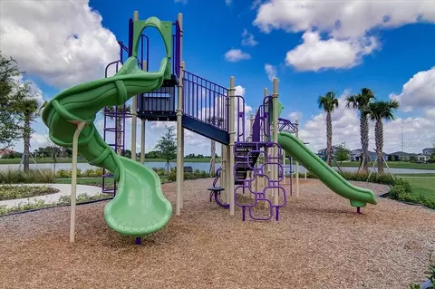 View/Area - 6092 Hidden Branch Dr, Apollo Beach, FL 33572 photo 9 of 13