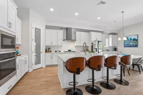 Kitchen - 6092 Hidden Branch Dr, Apollo Beach, FL 33572 photo 1 of 5
