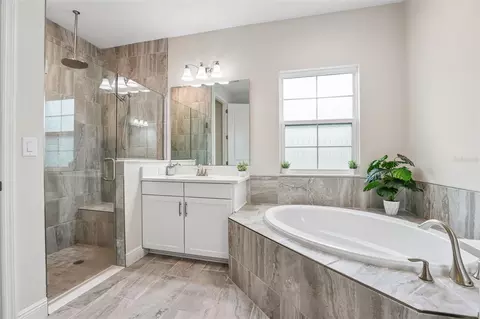 Bath - 6092 Hidden Branch Dr, Apollo Beach, FL 33572 photo 3 of 7