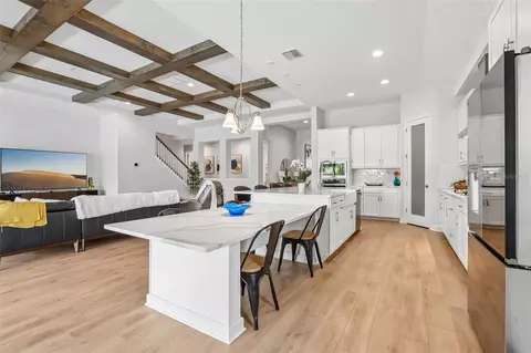 Kitchen - 6092 Hidden Branch Dr, Apollo Beach, FL 33572 photo 4 of 5
