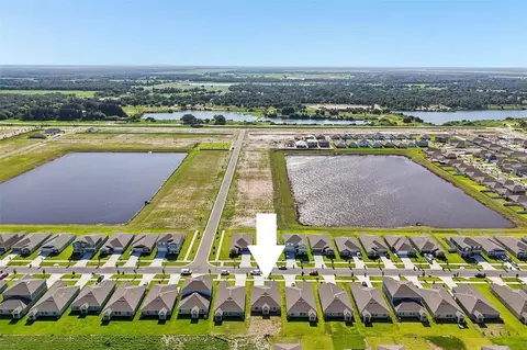 View/Area - 15005 Emerson Field St, Wimauma, FL 33598 photo 3 of 3