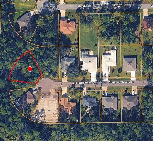16 Sleeping Beauty Pl, Palm Coast, FL 32164