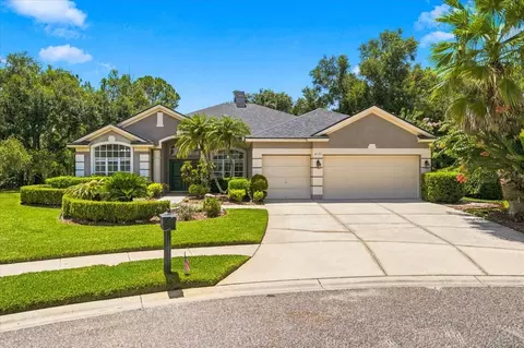 6121 Chene Ct, Lutz, FL 33558