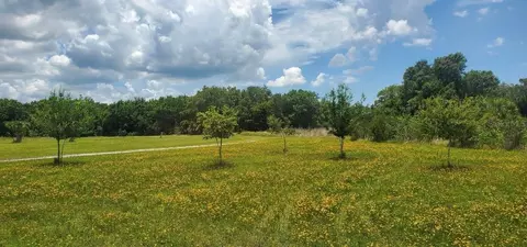 15908 W Lake Dr, Wimauma, FL 33598