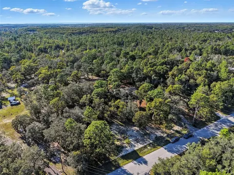 View/Area - 17539 Edwin Ter, Hudson, FL 34667 photo 7 of 7