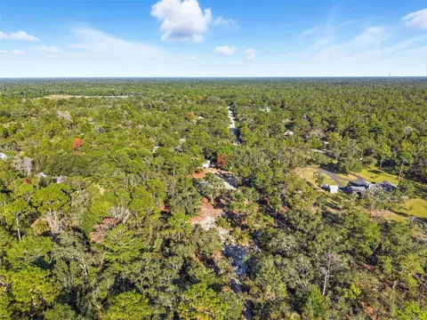 View/Area - 17539 Edwin Ter, Hudson, FL 34667 photo 5 of 7