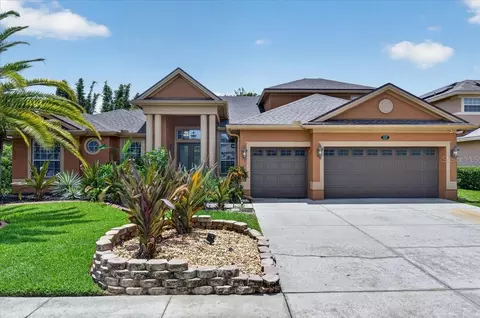 16410 Ivy Lake Dr, Odessa, FL 33556