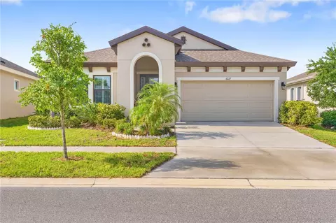 6227 Golden Nettle Dr, Apollo Beach, FL 33572