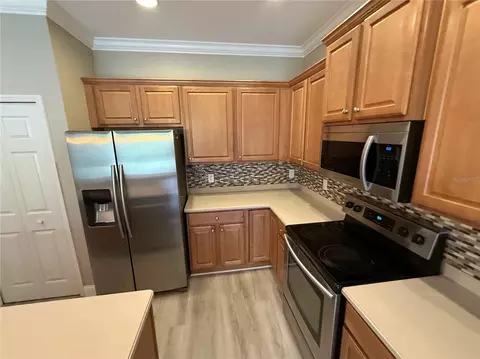 11550 52nd Ct E, Parrish, FL 34219 photo 4