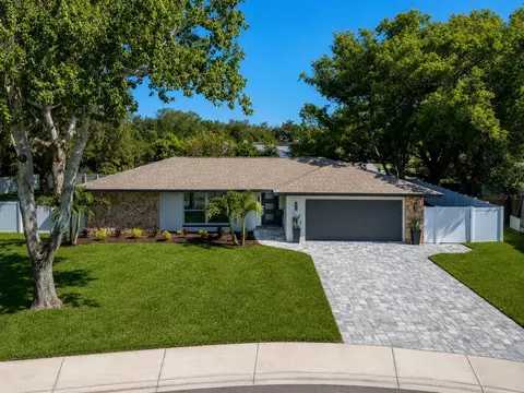 1967 Castille Dr, Dunedin, FL 34698