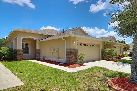 31007 Prout Ct, Wesley Chapel, FL 33543