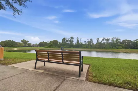 View/Area - 2814 Maple Brook Loop, Lutz, FL 33558 photo 5 of 14