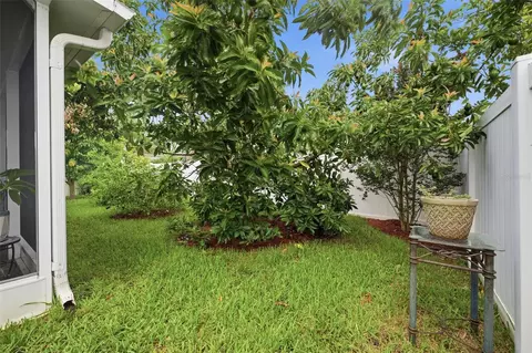 Exterior - 2814 Maple Brook Loop, Lutz, FL 33558 photo 7 of 11