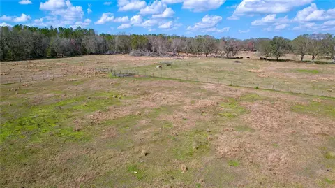 View/Area - 14890 Cr 757, Webster, FL 33597 photo 19 of 19