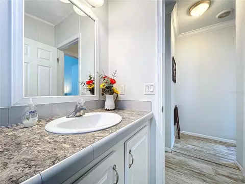 Bath - 14890 Cr 757, Webster, FL 33597 photo 5 of 7