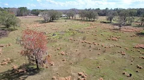 View/Area - 14890 Cr 757, Webster, FL 33597 photo 17 of 19