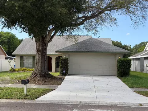 7131 Hollowell Dr, Tampa, FL 33634