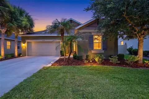 27035 Carolina Aster Dr, Wesley Chapel, FL 33544