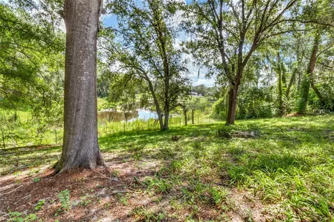 Exterior - 16123 E Lake Burrell Dr, Lutz, FL 33549 photo 12 of 12