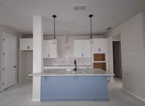 Other - 5825 Native Oak St, Mount Dora, FL 32757 photo 3 of 4