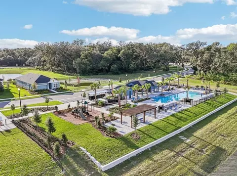 5813 Native Oak St, Mount Dora, FL 32757 photo 4