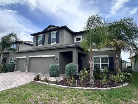 Exterior - 4917 Eagle Rock Dr, Wimauma, FL 33598 photo 3 of 6