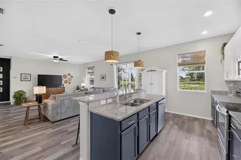 Kitchen - 203 Star Shell Dr, Apollo Beach, FL 33572 photo 5 of 7