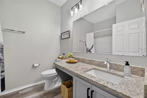 Bath - 203 Star Shell Dr, Apollo Beach, FL 33572 photo 5 of 6