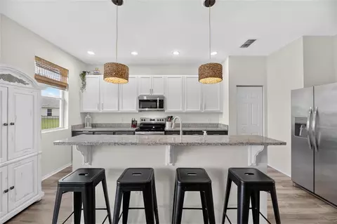 Kitchen - 203 Star Shell Dr, Apollo Beach, FL 33572 photo 2 of 7