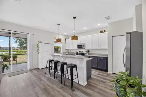 Kitchen - 203 Star Shell Dr, Apollo Beach, FL 33572 photo 1 of 7