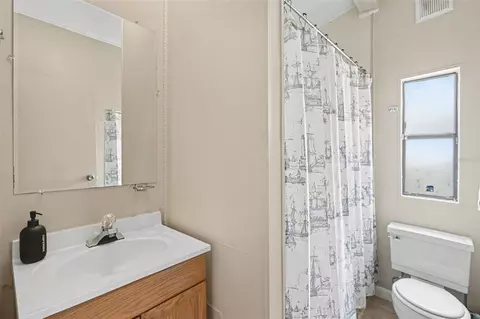 10239 Lyons Ave, Lithia, FL 33547 photo 24