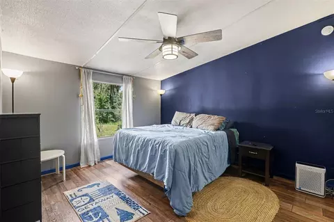 10239 Lyons Ave, Lithia, FL 33547 photo 17