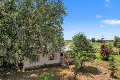 10239 Lyons Ave, Lithia, FL 33547 photo 9