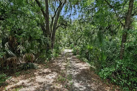 10239 Lyons Ave, Lithia, FL 33547 photo 27