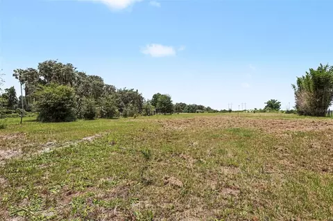 10239 Lyons Ave, Lithia, FL 33547 photo 30