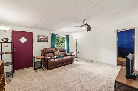 10239 Lyons Ave, Lithia, FL 33547 photo 10