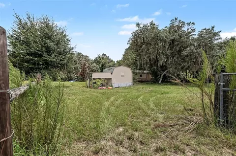 10239 Lyons Ave, Lithia, FL 33547 photo 36