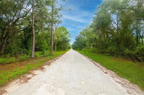 7431 Bitternut Ave, Webster, FL 33597 photo 2