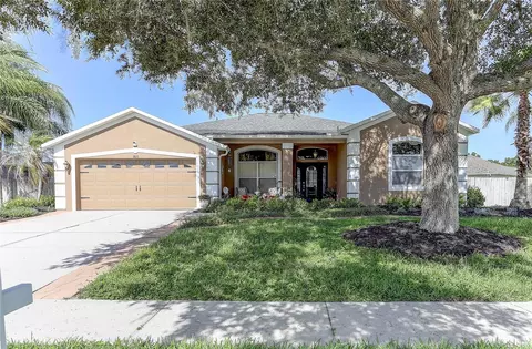 3815 Red Bluff Ct, Wesley Chapel, FL 33543
