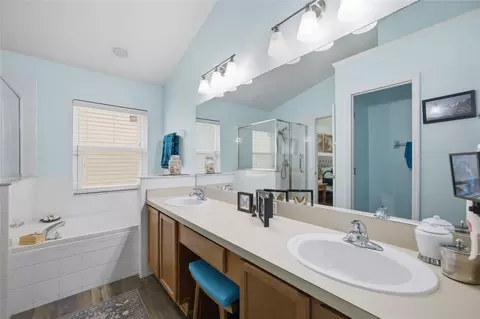 Bath - 7113 Colony Pointe Dr, Riverview, FL 33578 photo 4 of 4