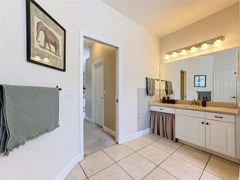 Bath - 11319 Tralee Dr, Riverview, FL 33569 photo 3 of 4