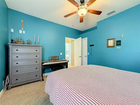 Bedroom - 11319 Tralee Dr, Riverview, FL 33569 photo 9 of 9