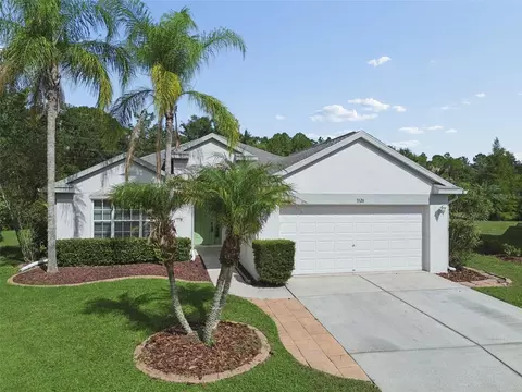 3526 Morgans Bluff Ct, Land O Lakes, FL 34639
