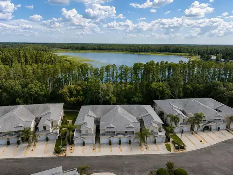 View/Area - 1651 Hammocks Ave, Lutz, FL 33549 photo 5 of 8