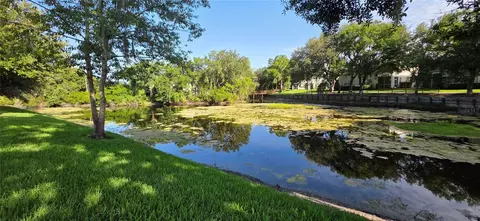 View/Area - 1651 Hammocks Ave, Lutz, FL 33549 photo 3 of 8