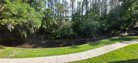 View/Area - 1651 Hammocks Ave, Lutz, FL 33549 photo 2 of 8