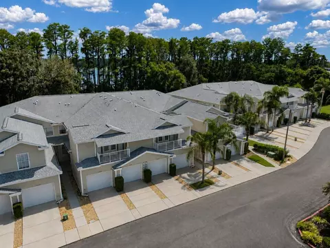 View/Area - 1651 Hammocks Ave, Lutz, FL 33549 photo 6 of 8