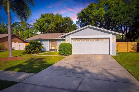 15906 Crying Wind Dr, Tampa, FL 33624